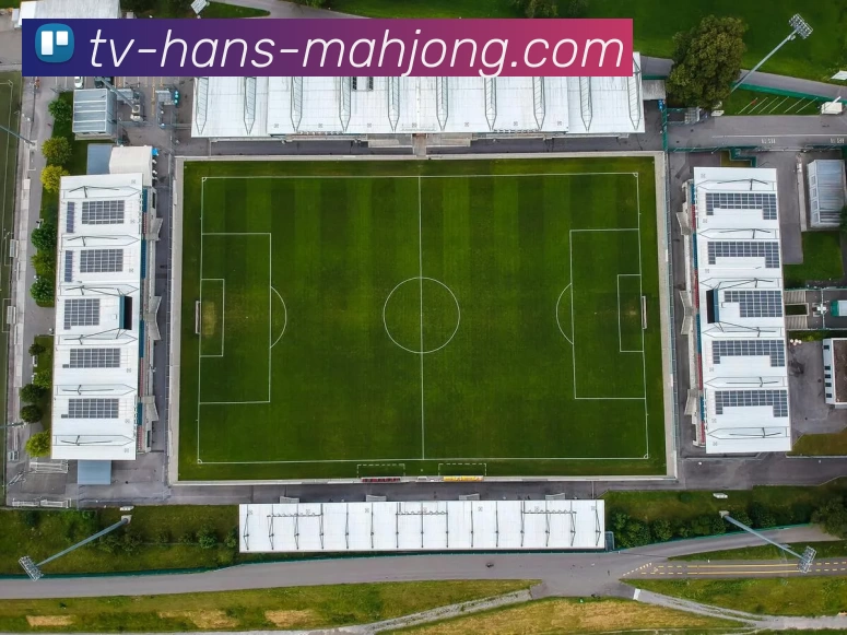 麻将胡了服务体系